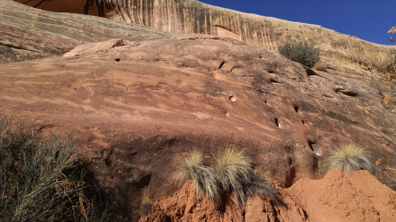 Illustration for article titled Desert Love